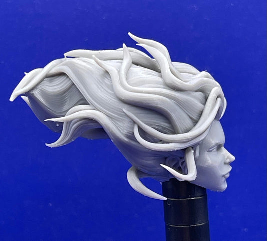 Firebird Emma head - 1/12 scale