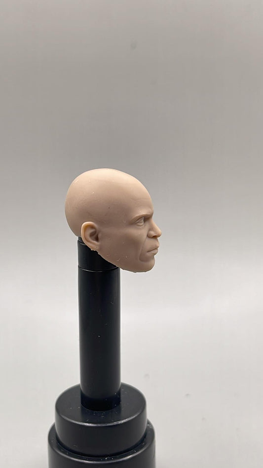 Titan Commander head - 1/12 scale