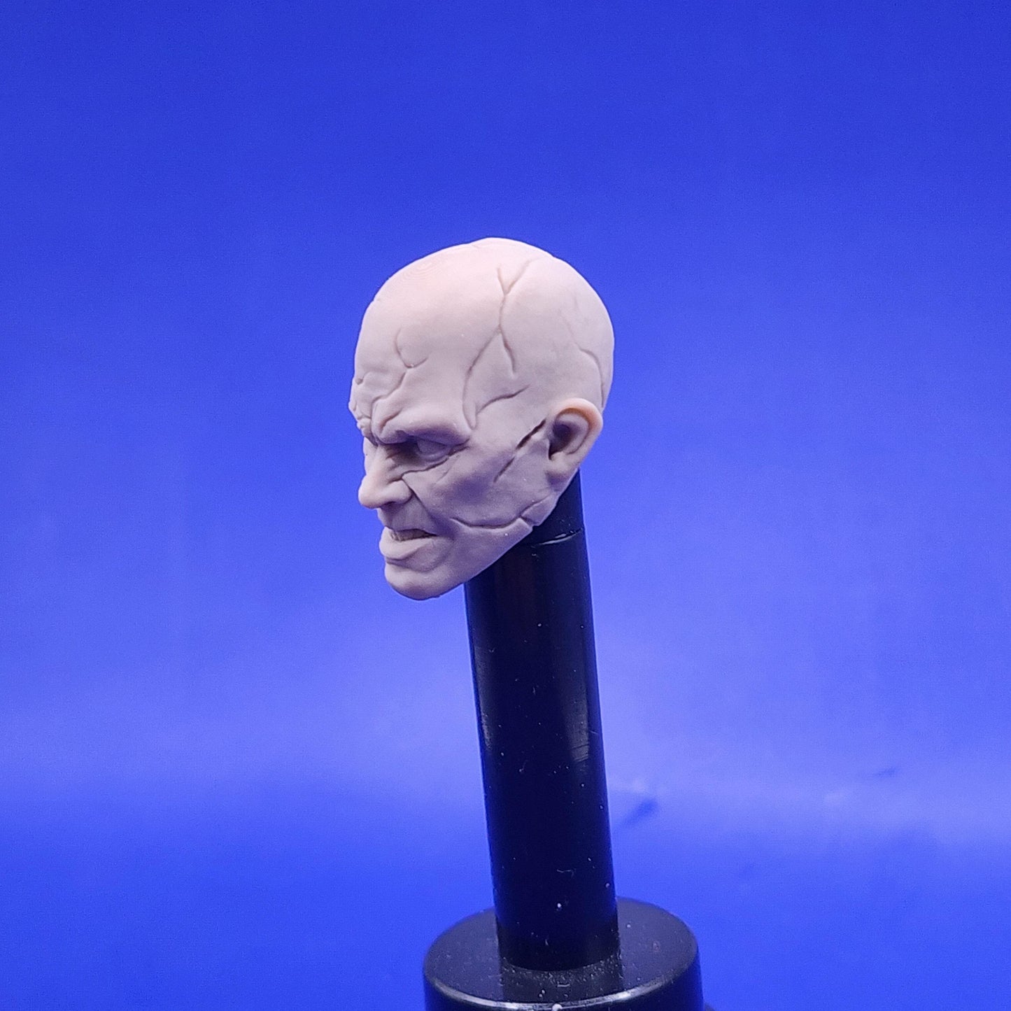 Darth sion head - 1/12 scale