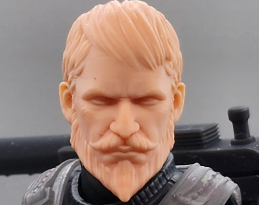 Voltar (No helmet) inspired head - 1/12 scale