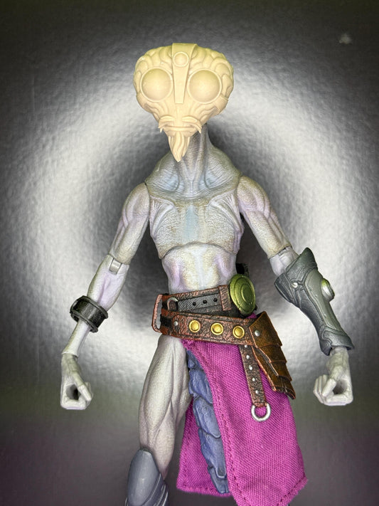 Ben 10 Gray Matter inspired head - Mythic Legions 2.0