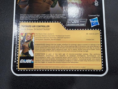 2015 GI Joe Joe Club FSS 3.0 figure Bombstrike2