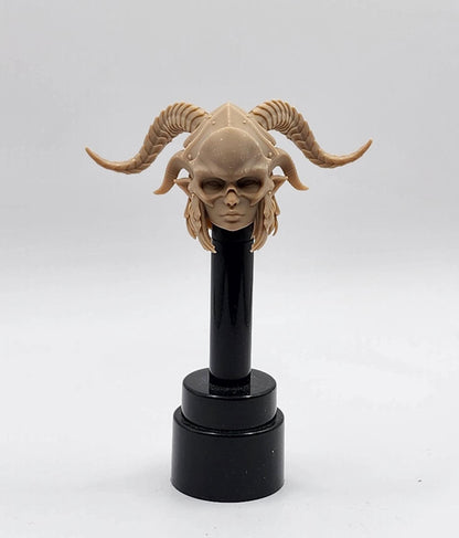 Morvaine gravewhisper - female necromancer head  - Mythic Legions 2.0