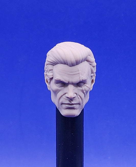 Snake Eyes Unmasked head - 1/12 scale