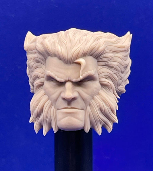 Logan wolverine inspired head - 1/12 scale