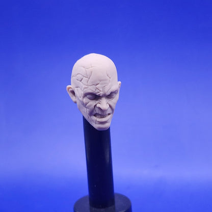 Darth sion head - 1/12 scale
