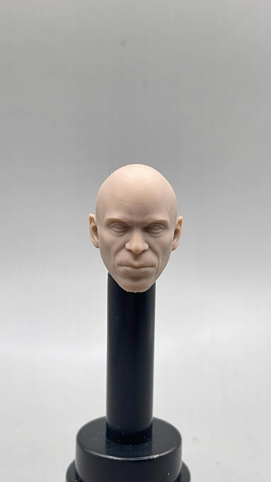 Titan Commander head - 1/12 scale