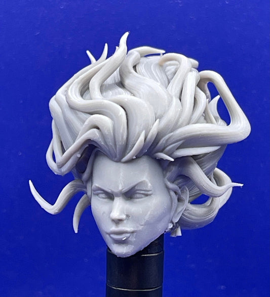 Firebird Emma head - 1/12 scale