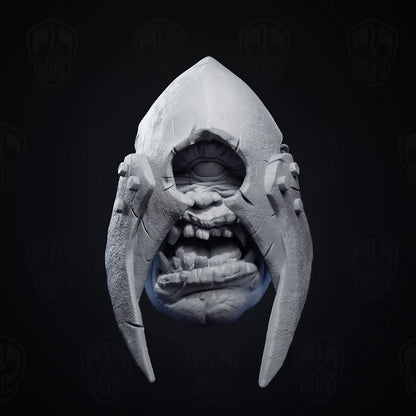 Tartalo v2 in helmet (unpainted)