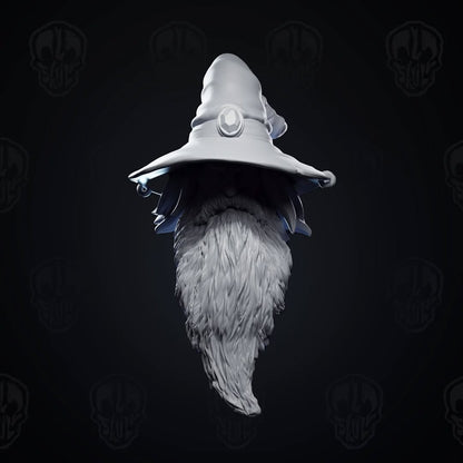 Malthus, the classic wizard head (unpainted)