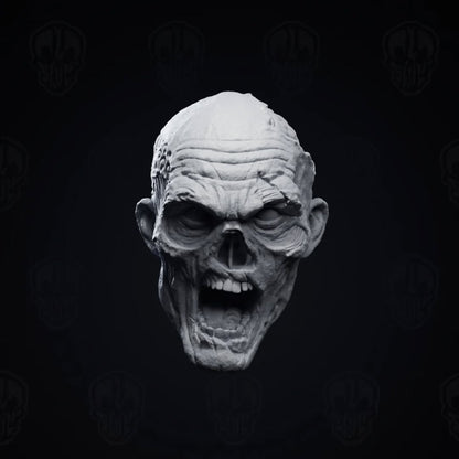 Sloppy Brain the Zombie head - Mythic legions 1.0 bodies