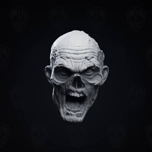 Sloppy Brain the Zombie head - Mythic legions 1.0 bodies