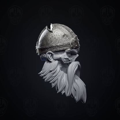 Hrolfinn Cold-Heart, ancient Draugr undead viking head (unpainted)